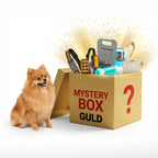 Mysterybox Liten Hund Guld - Djurslottet
