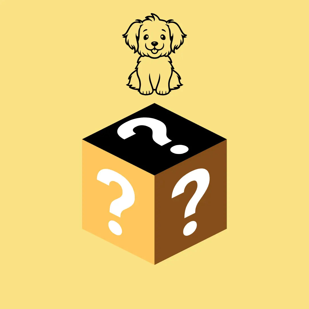 Mysterybox guld för hund - Djurslottet