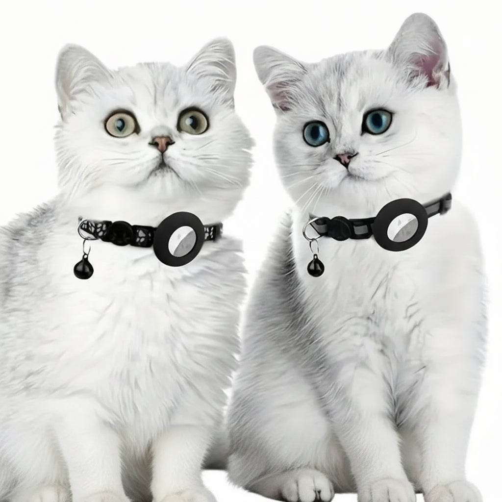 Katthalsband med Airtagskal - Djurslottet