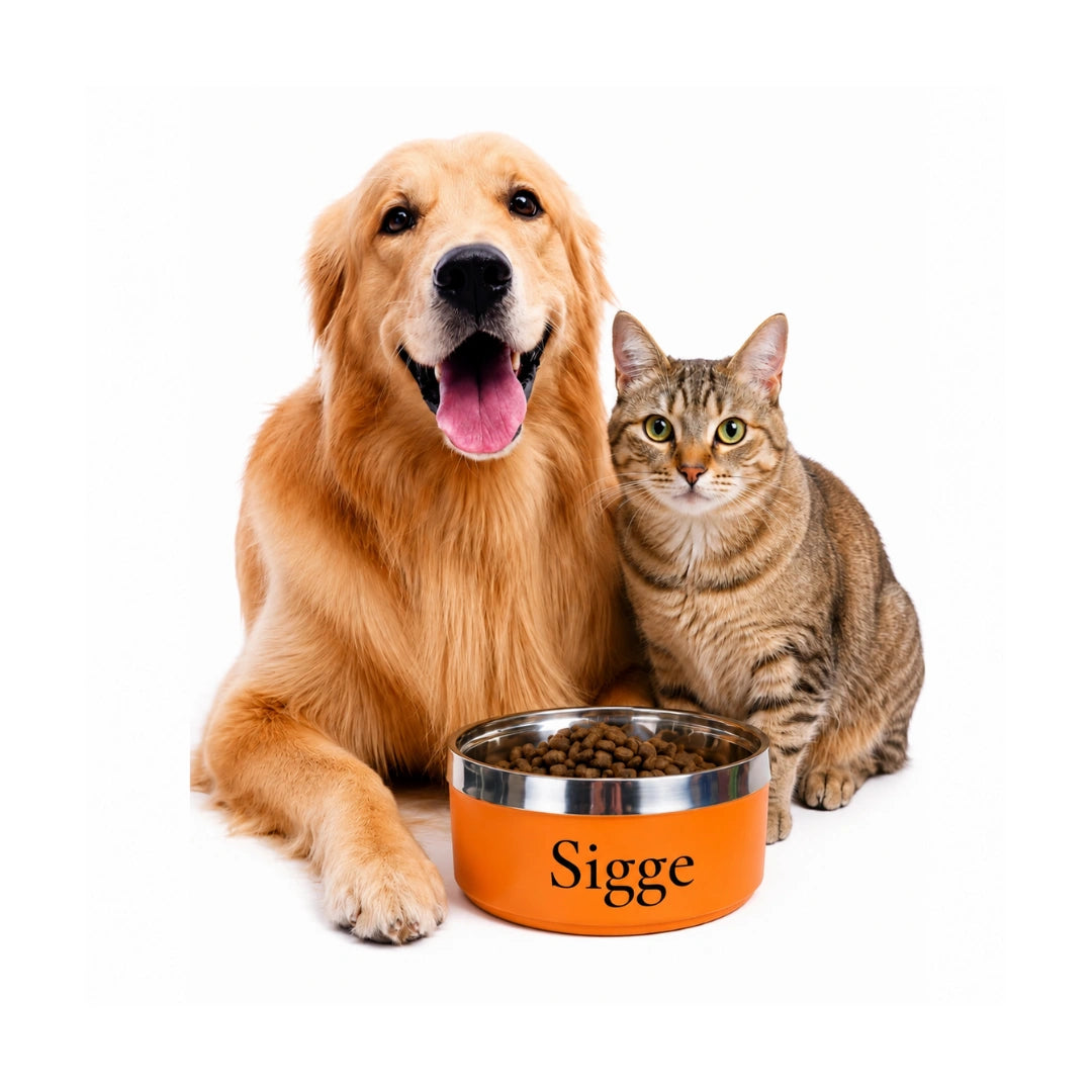 Orange matskål med namn för hund och katt - Djurslottet