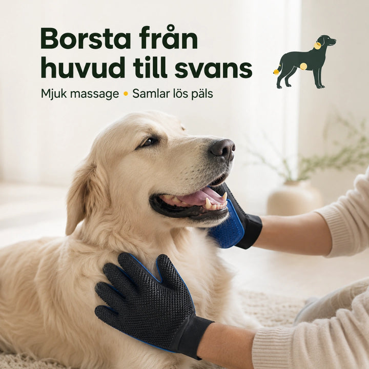 Pälshandske borsta fran huvud till svans - Djurslottet