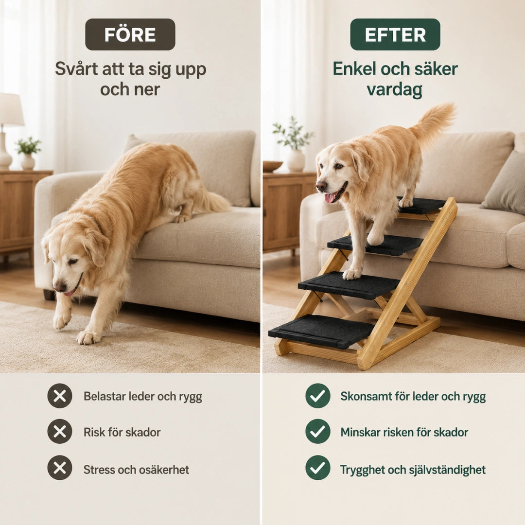 Hunden går tryggt upp för hundtrappan - Djurslottet