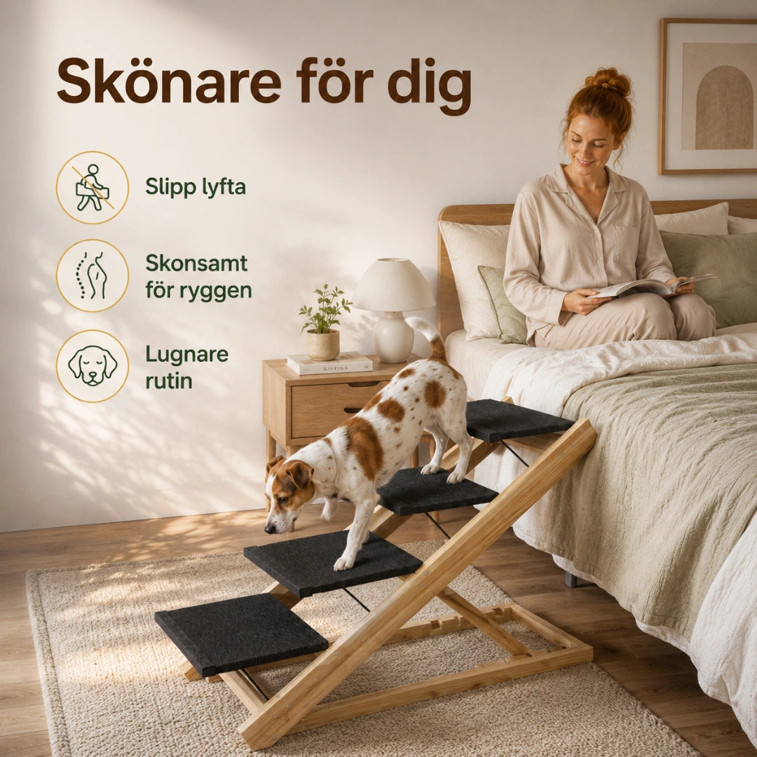 Skonsammare väg upp till möblerna för hunden - Djurslottet