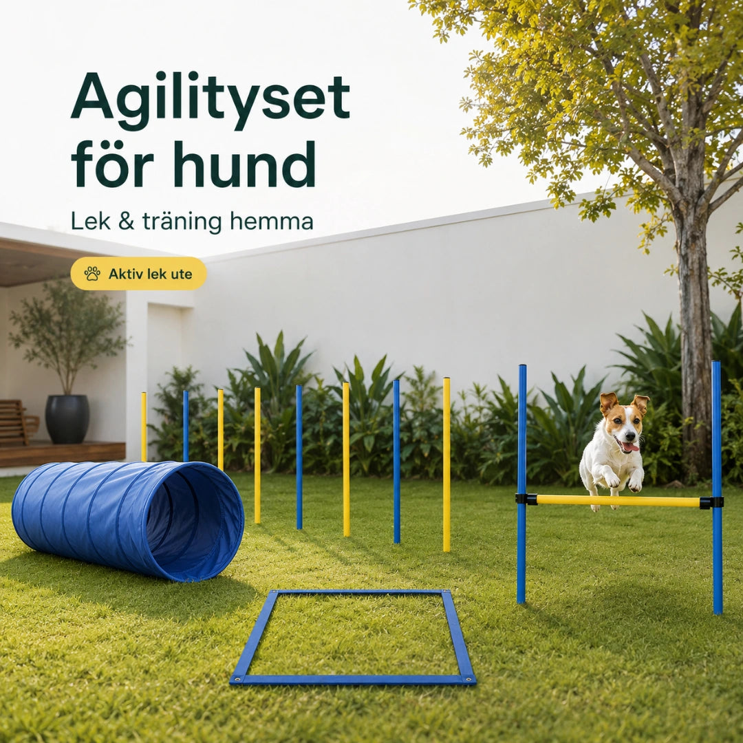 PawHut Agility Träningsset Hund aktiv lek utomhus - Djurslottet