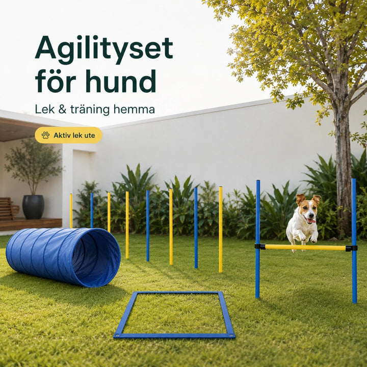 PawHut Agility Träningsset Hund aktiv lek utomhus - Djurslottet