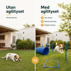 PawHut Agility Träningsset Hund agilitybana i trädgården - Djurslottet