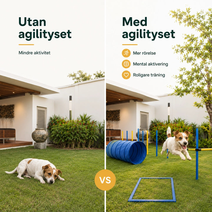 PawHut Agility Träningsset Hund agilitybana i trädgården - Djurslottet