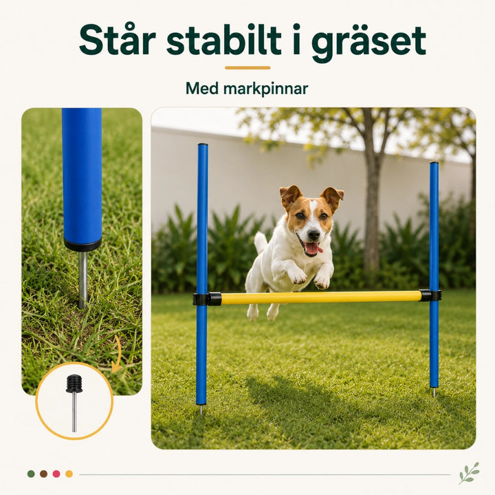 PawHut Agility Träningsset Hund med markspett för bättre fäste - Djurslottet