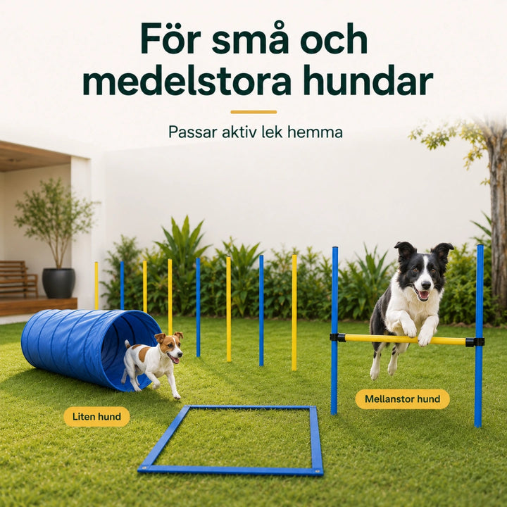 PawHut Agility Träningsset Hund för små och medelstora hundar - Djurslottet