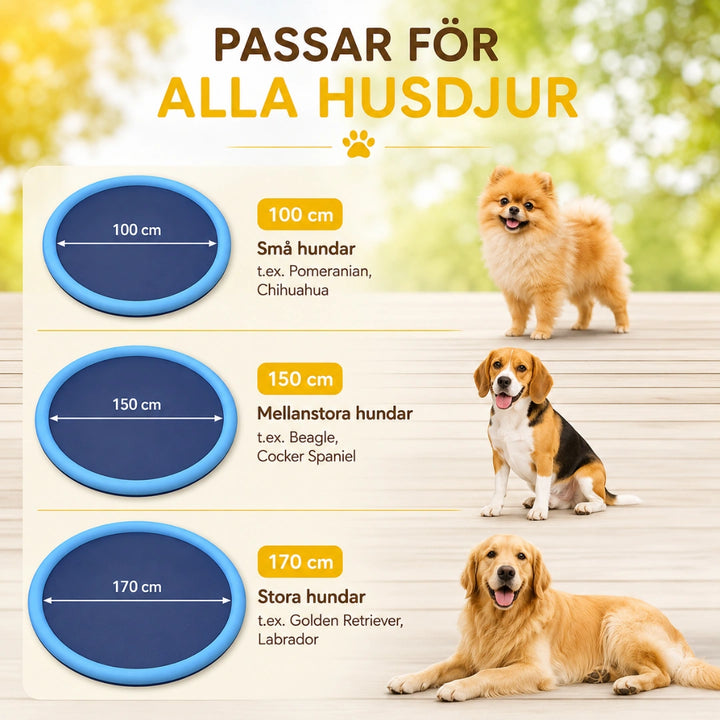 Pawsplash Sprinkler pool för hundar  all husdjur - Djurslottet