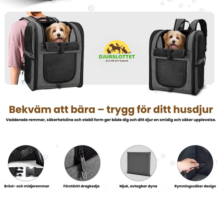 PetPacker Ryggsäck Bekväm att bära – trygg för ditt husdjur Djurslottet
