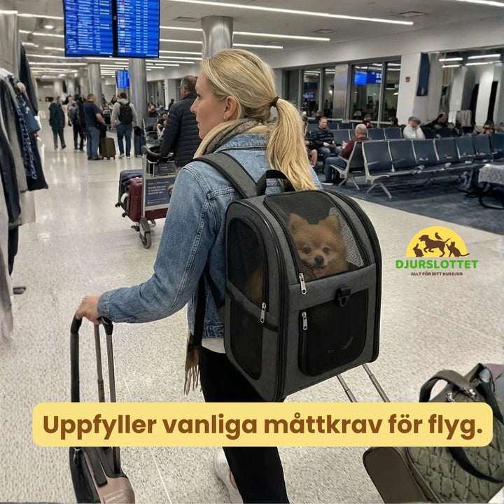 PetPacker Ryggsäck för hund och katt Uppfyller vanliga måttkrav för flyg.  Djurslottet
