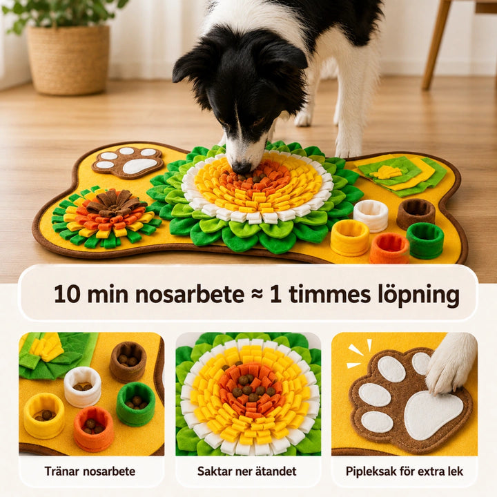 PetSniff Aktiveringsmatta 10 mins nosarbete - Djurslottet