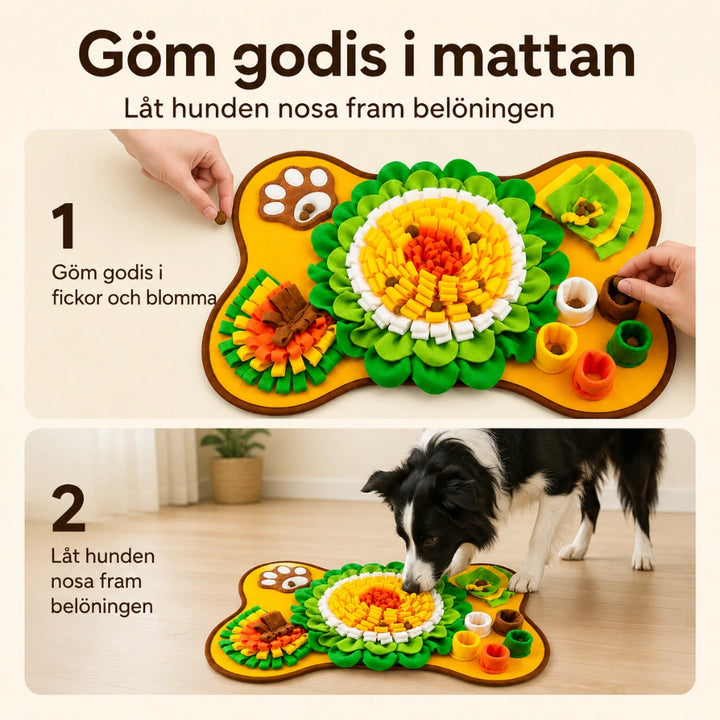 PetSniff Aktiveringsmatta godis i mattan - Djurslottet