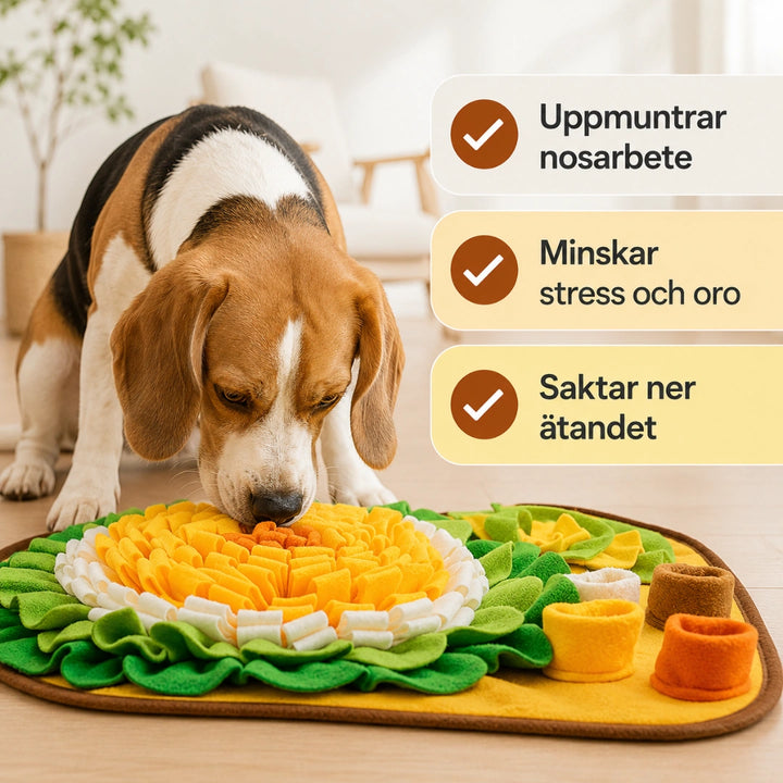 PetSniff Aktiveringsmatta uppmuntrar nosarbete - Djurslottet
