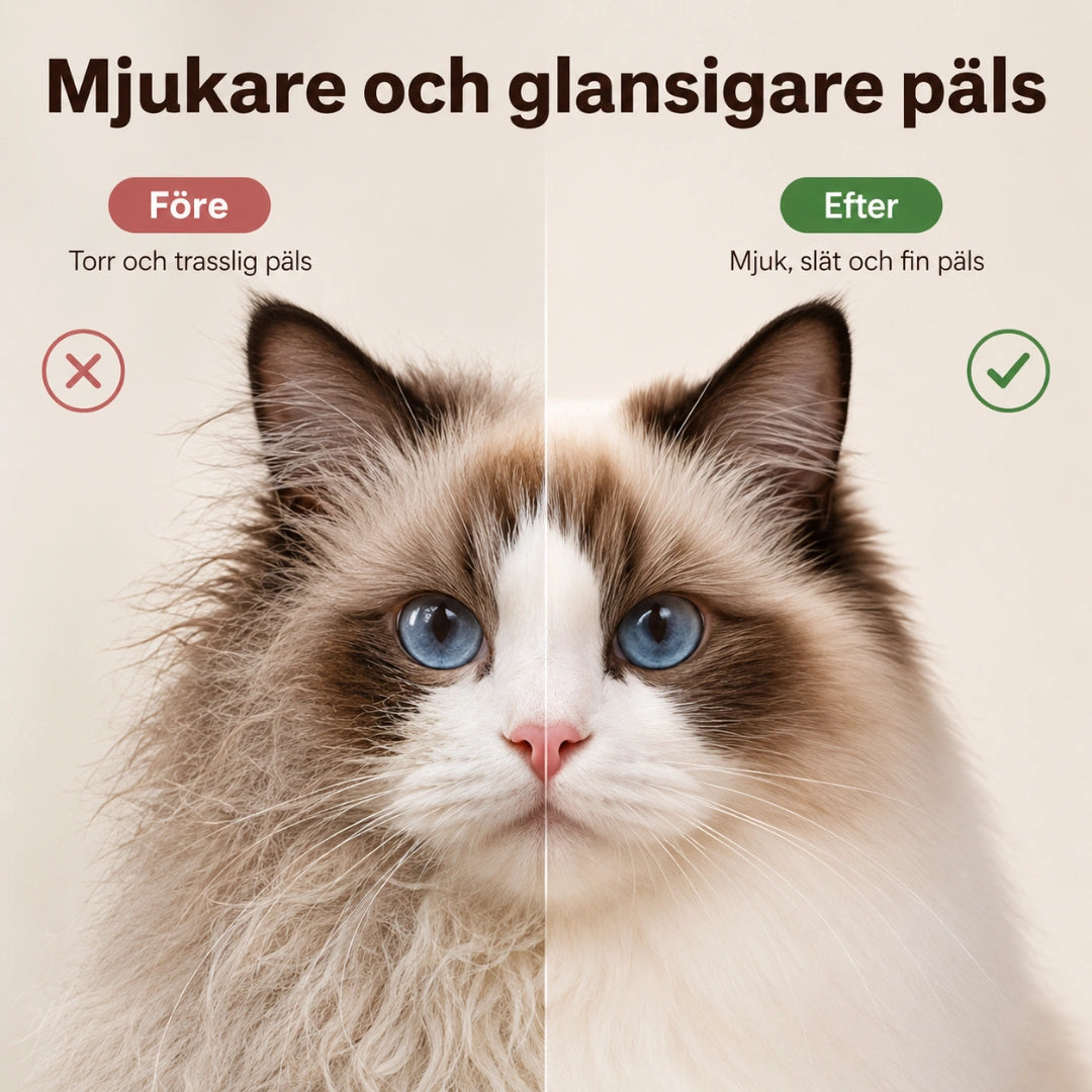 Petdryer Automatisk Hårfön för husdjur Mjukare och glansigare päls -Djurslottet