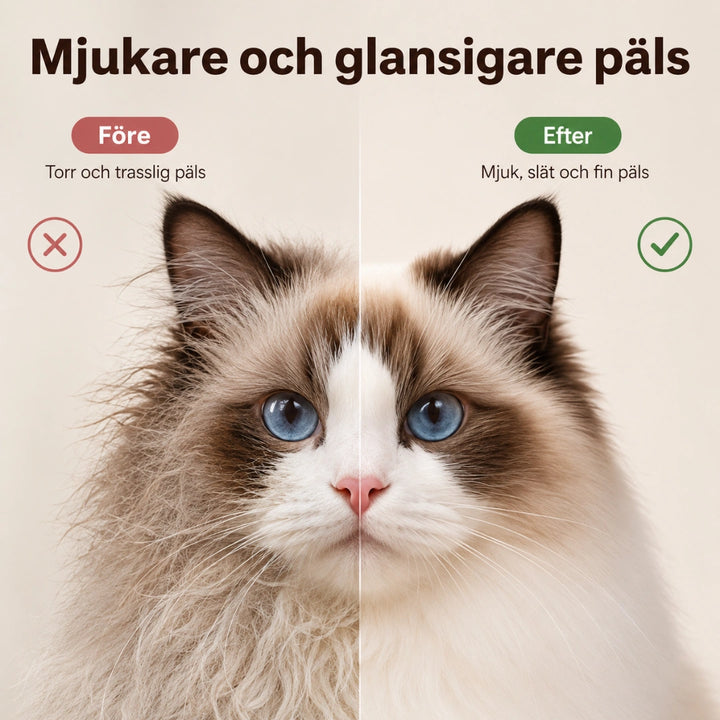 Petdryer Automatisk Hårfön för husdjur Mjukare och glansigare päls -Djurslottet