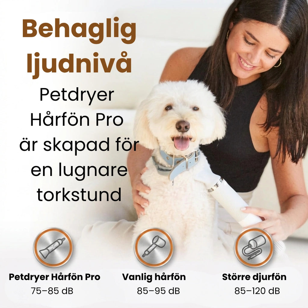 Petdryer Gloss Pälsfön behaglig ljudnivå - Djurslottet