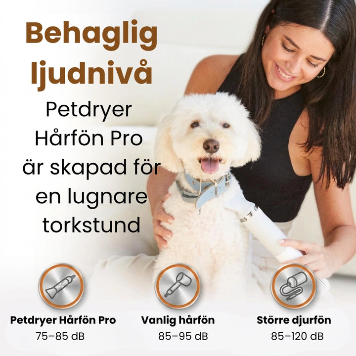 Petdryer Gloss Pälsfön behaglig ljudnivå - Djurslottet