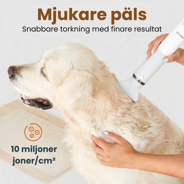 Petdryer Gloss Pälsfön mjukare och glansigare päls - Djurslottet
