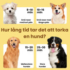 Petdryer Hårfön för husdjur Hur lång tid tar det att torka en hund? -Djurslottet