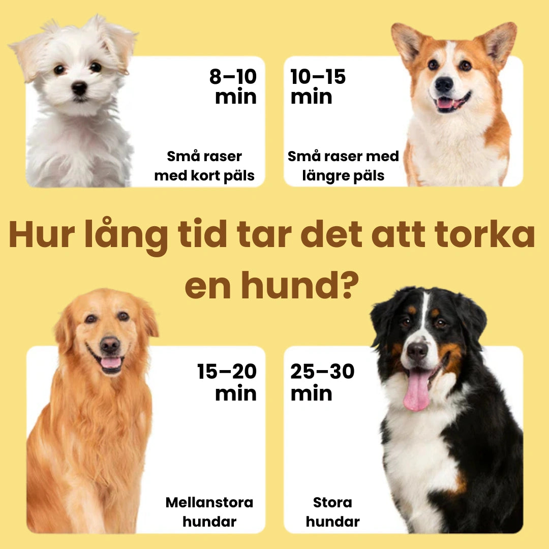 Petdryer Hårfön för husdjur Hur lång tid tar det att torka en hund? -Djurslottet