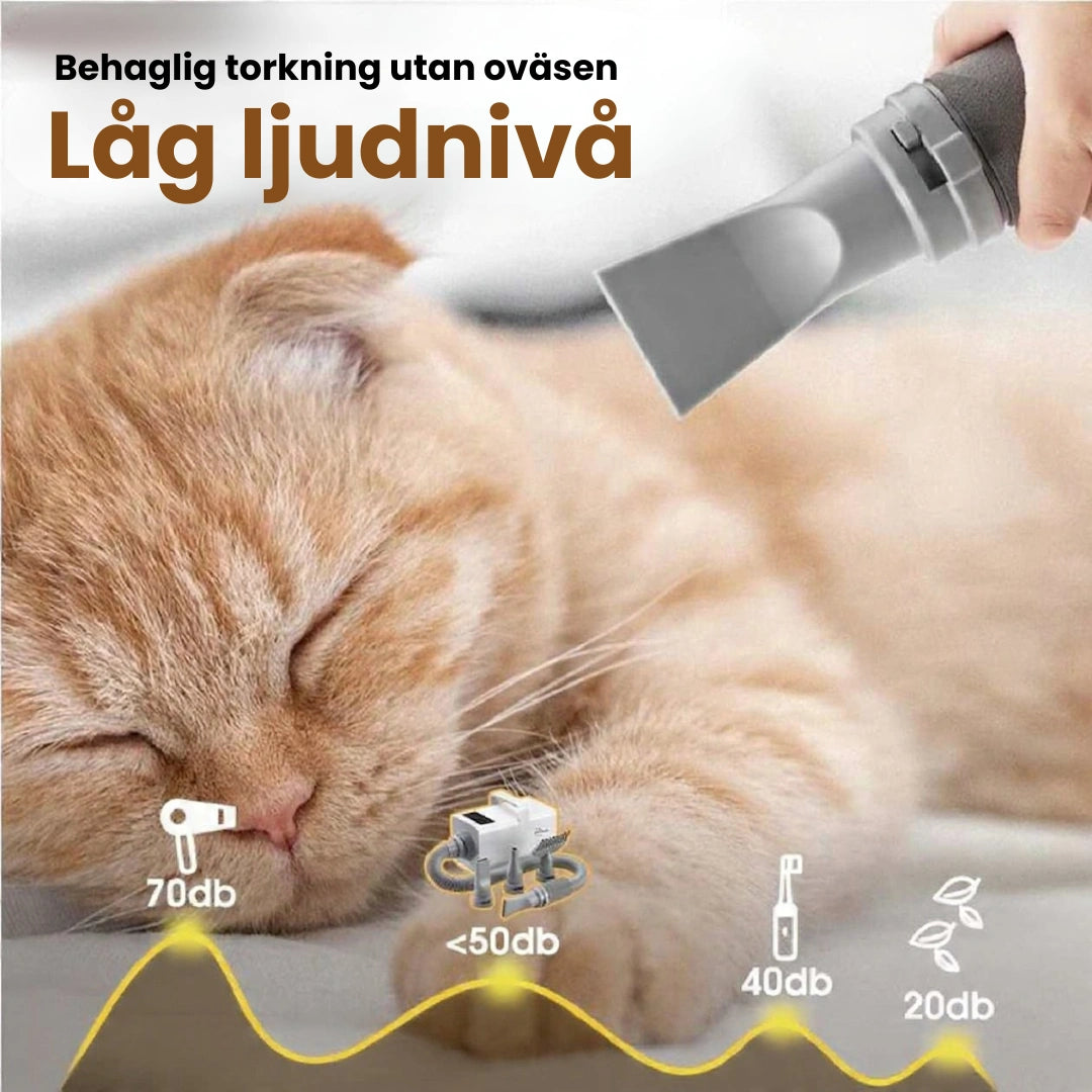 Petdryer Hårfön för husdjur Låg ljudnivå - Djurslottet