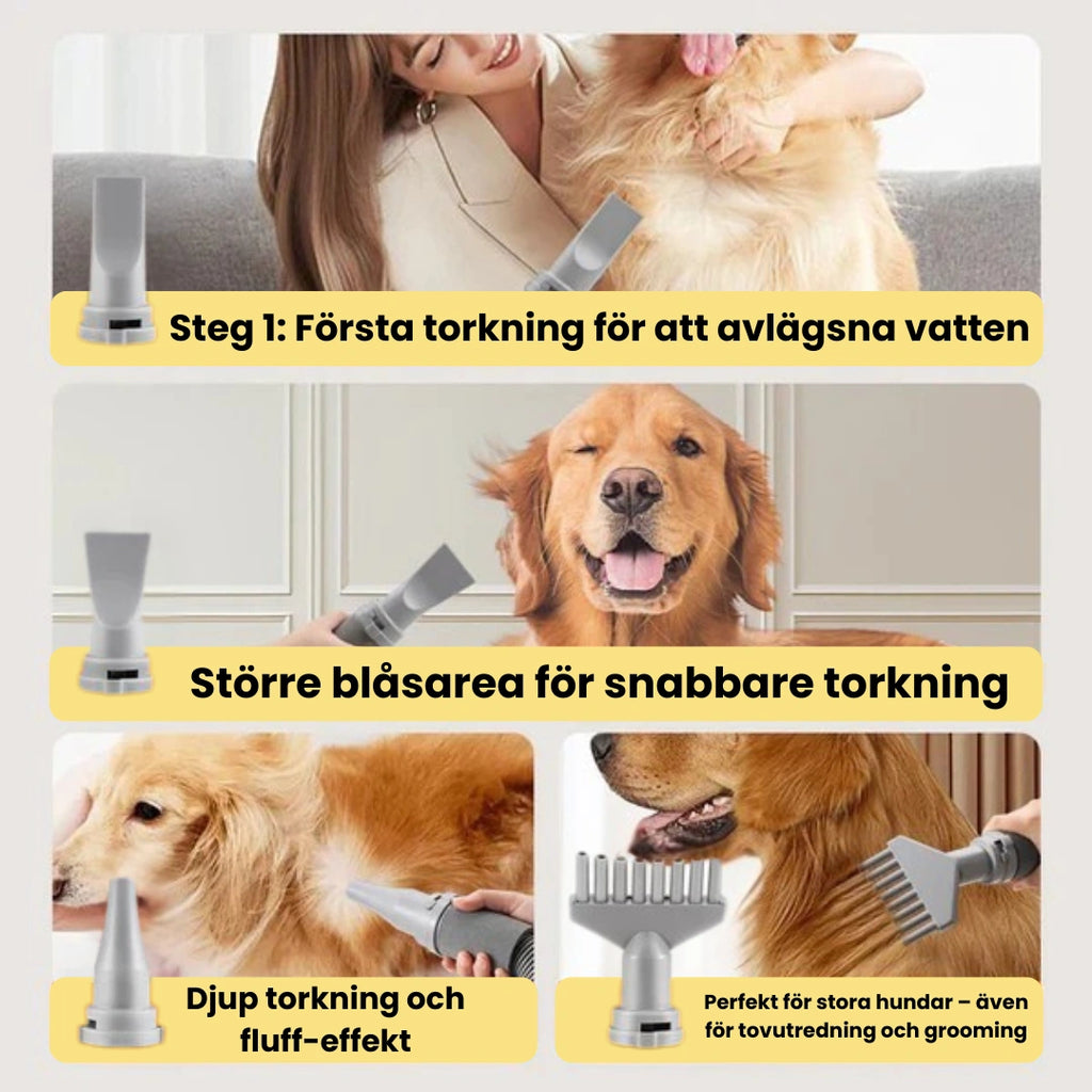 Petdryer Hårfön för husdjur Steg-Djurslottet