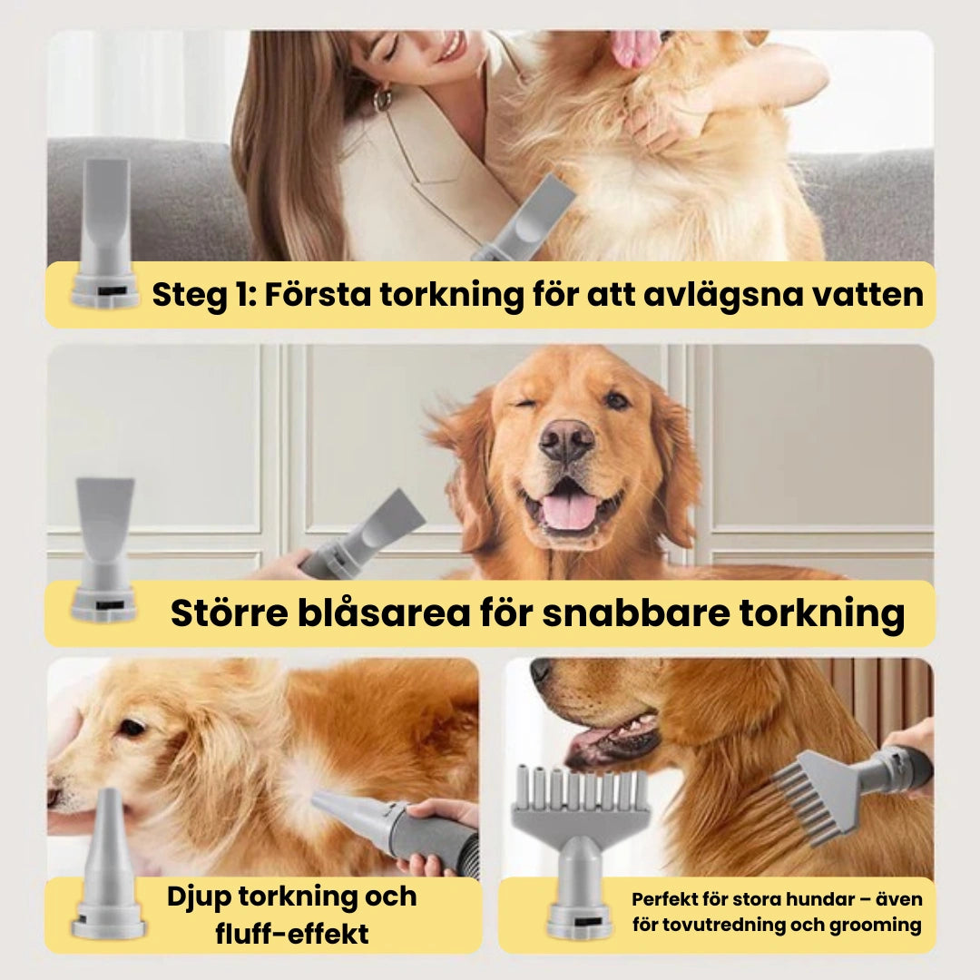 Petdryer Hårfön för husdjur Steg-Djurslottet