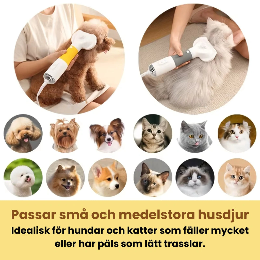 Petdryer Pälsfön Tre olika huvuden och hastighetslägen för anpassad styling  - Djurslottet