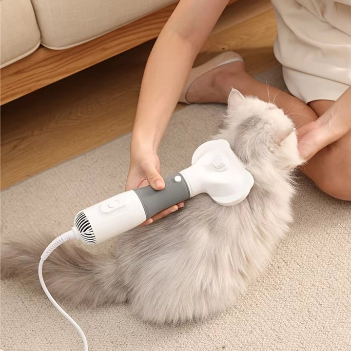 Petdryer Pälsfön perfekt för katt - Djurslottet