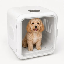 Petdryer Torkbox för Hund och Katt