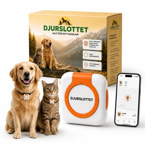 Petracka GPS Tracker för hund och katt utan abonemang - Djurslottet
