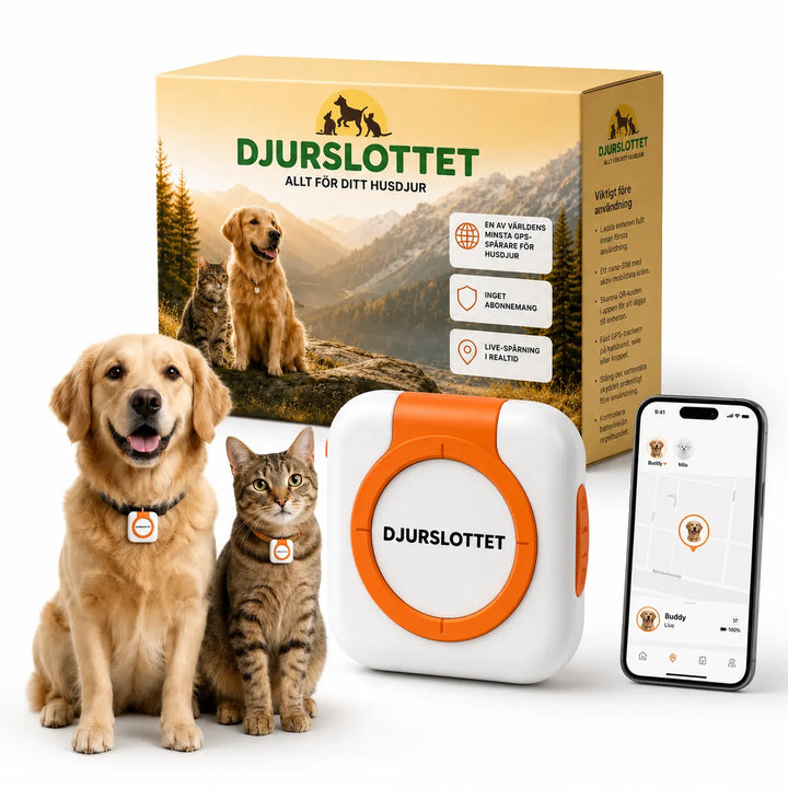 Petracka GPS Tracker för hund och katt utan abonemang - Djurslottet