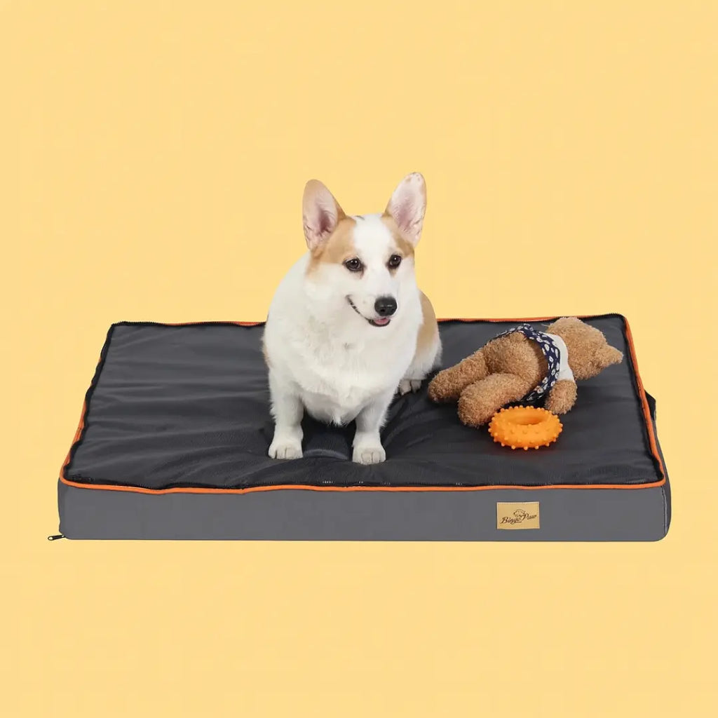 Platt Hundbädd Storlekar för alla behov - Djurslottet