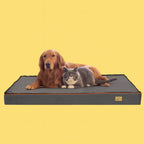 Platt Hundbädd Storlekar för alla behov -- Djurslottet