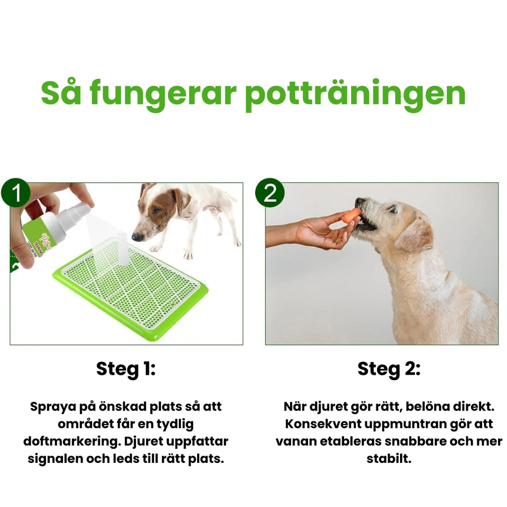 Potträning Spray för Husdjur Så fungerar potträningen - Djurslottet