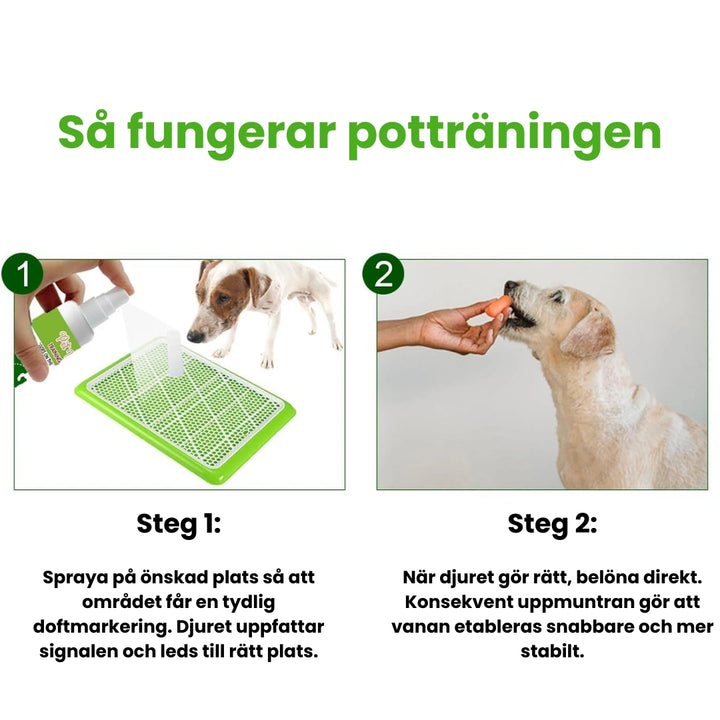 Potträning Spray för Husdjur Så fungerar potträningen - Djurslottet