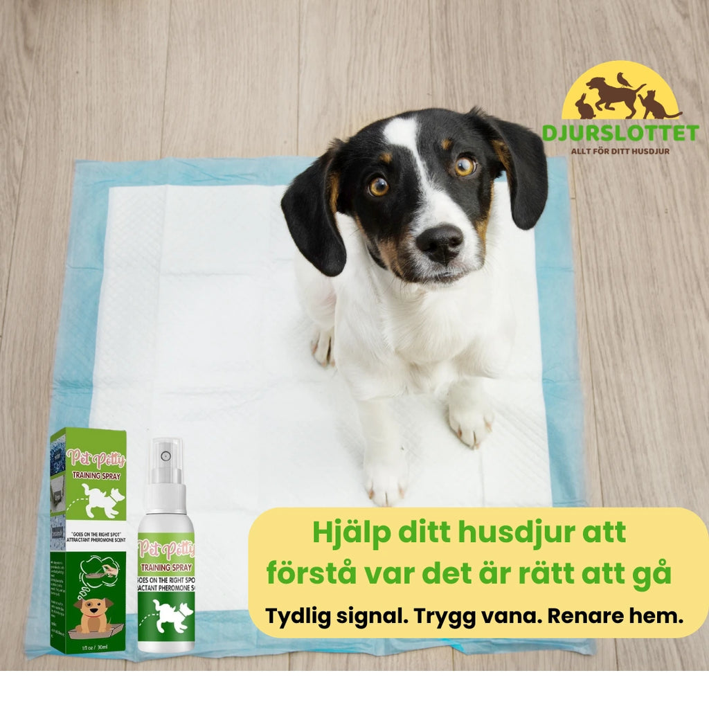 Pottraning Spray för valpar - Djurslottet