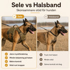 ProSafe Dragsele för Hundar vs halsband - Djurslottet