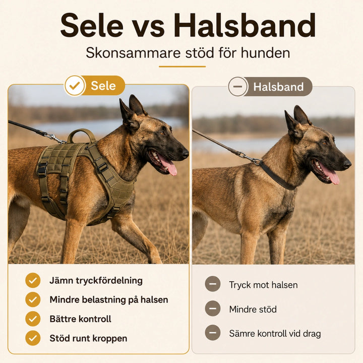 ProSafe Dragsele för Hundar vs halsband - Djurslottet