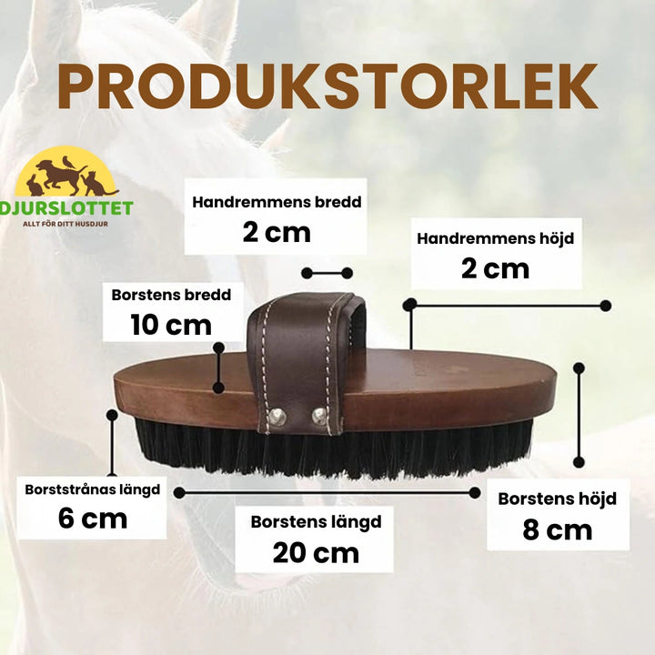 Produkstorlek av 2-pack Premium Hästborste i Trä - Djurslottet