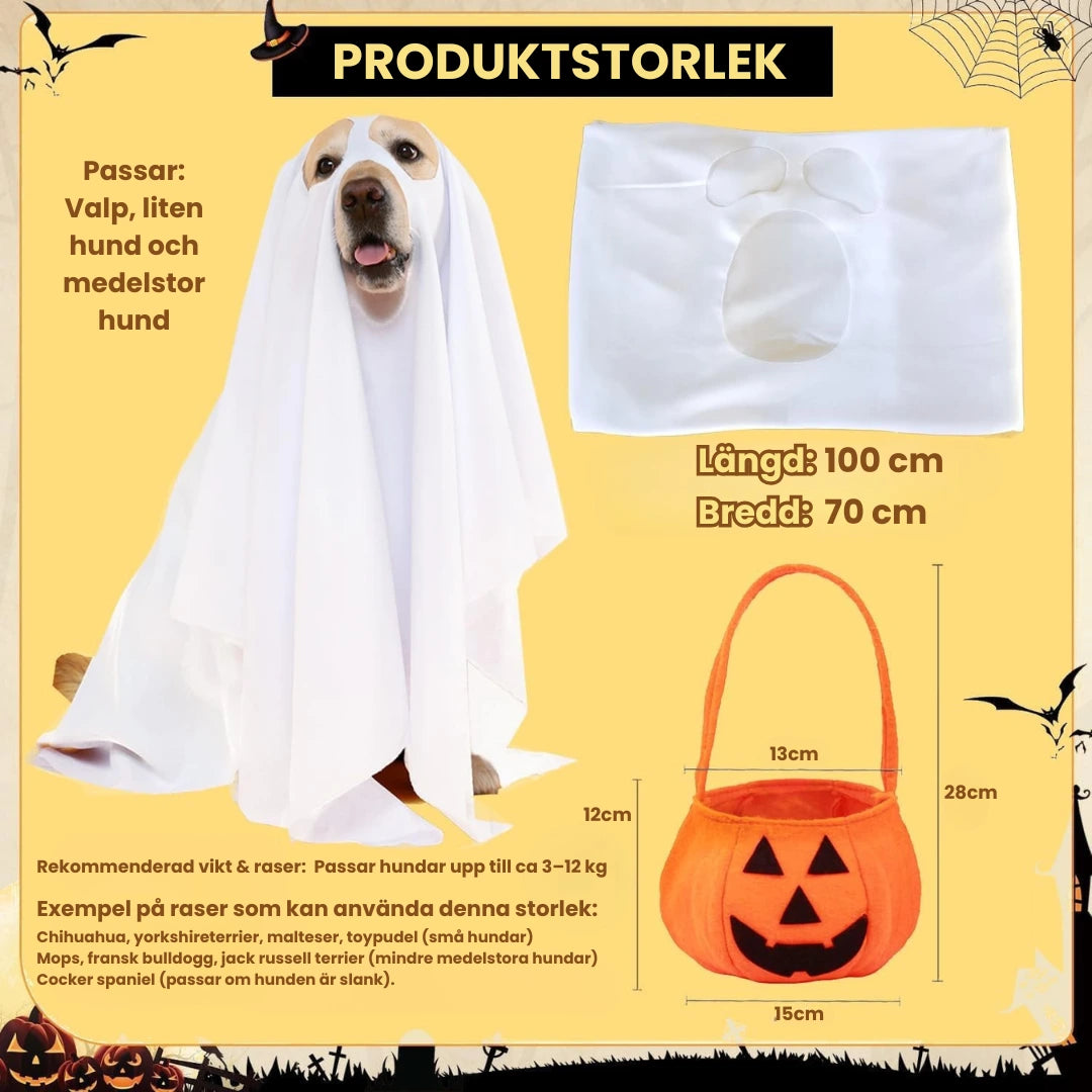 Produktstorlek av Halloweenkostym med pumpakorg för hund -Djurslottet