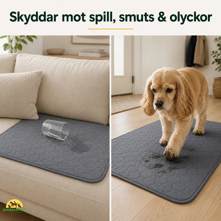 PupClean Tvättbar Valpmatta skyddar mot spill - Djurslottet