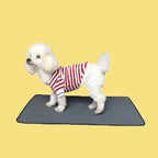 PupClean Tvättbar Valpmatta - Djurslottet