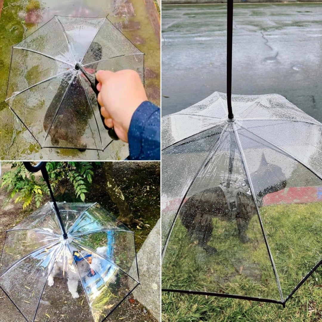 RainPaw Hundparaply Med Koppel - Djurslottet