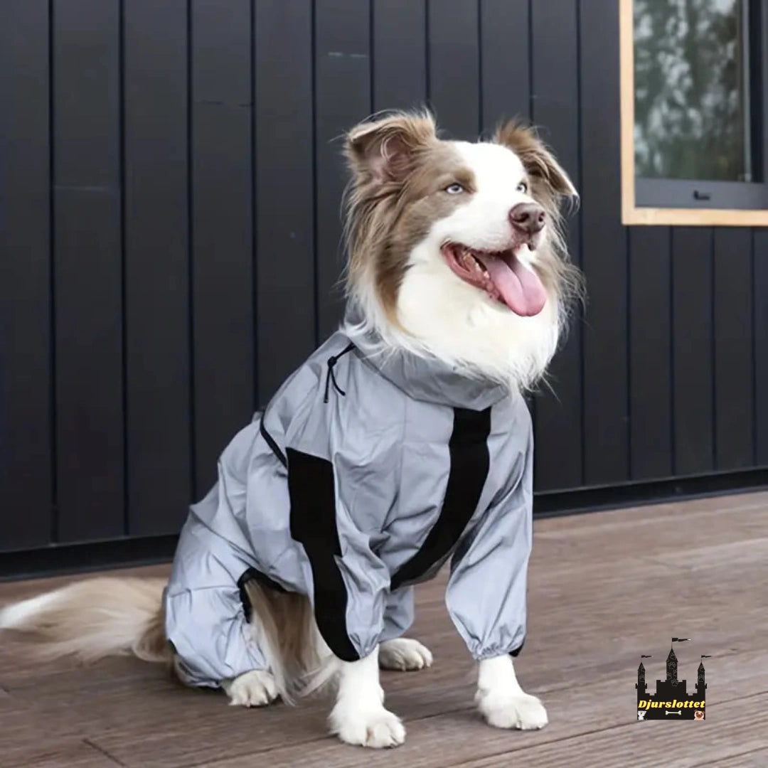 Reflekterande Regntäcke till Hundar Enkel På- och Avtagning - Djurslottet