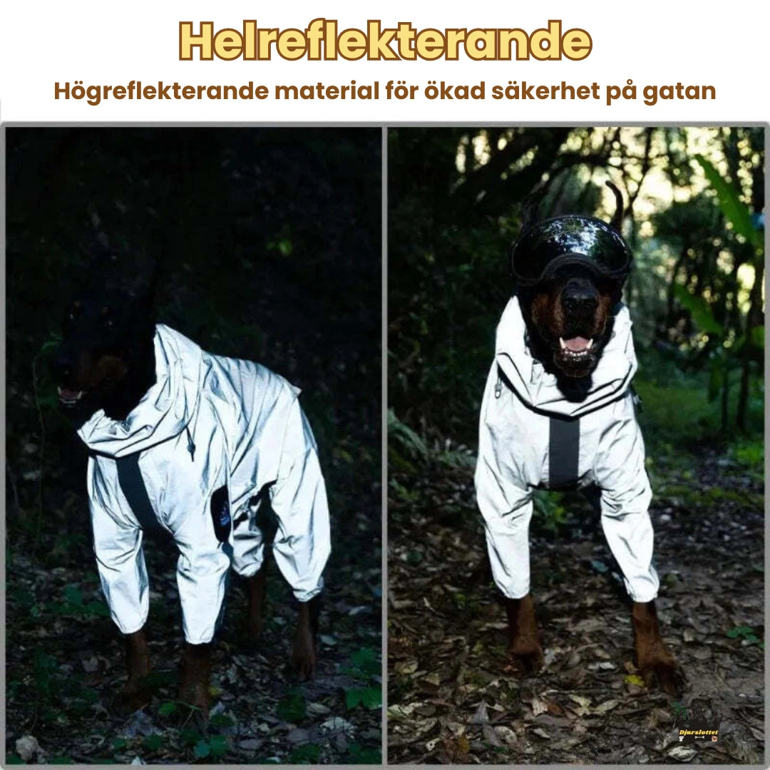 Reflekterande Regntäcke till Hundar Hållbar Konstruktion - Djurslottet