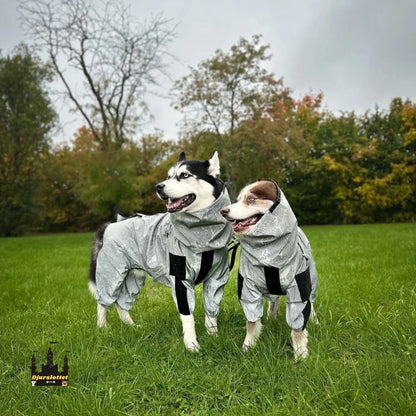 Reflekterande Regntäcke till Hundar Passar Alla Hundar - Djurslottet