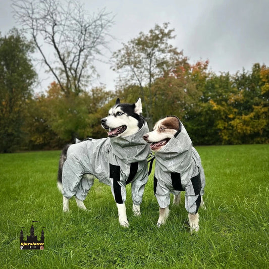 Reflekterande Regntäcke till Hundar Passar Alla Hundar - Djurslottet